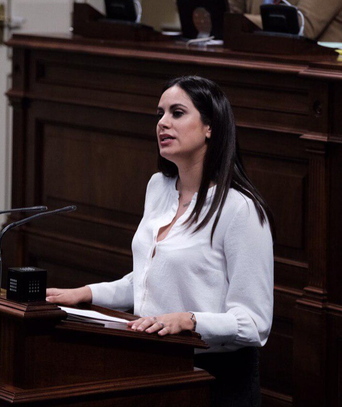 Espino: «La Consejería de Sanidad desatendió la salud de los canarios en Carnavales»