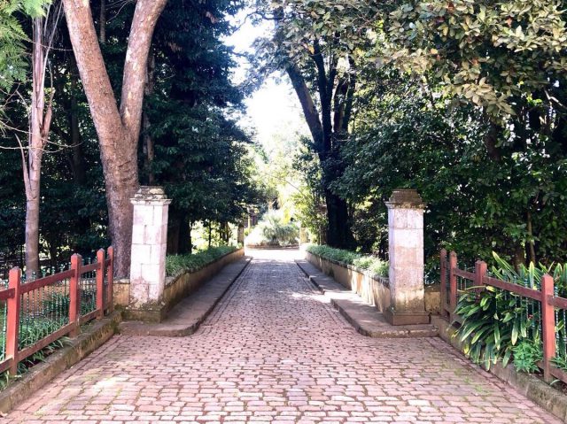 Finca Cabildo 2