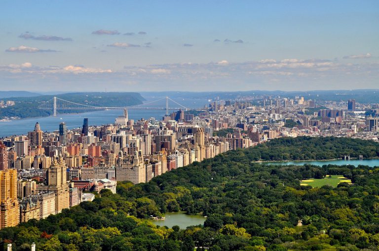 Nueva York se plantea convertir los parques en «fosas comunes» temporales para las víctimas del coronavirus
