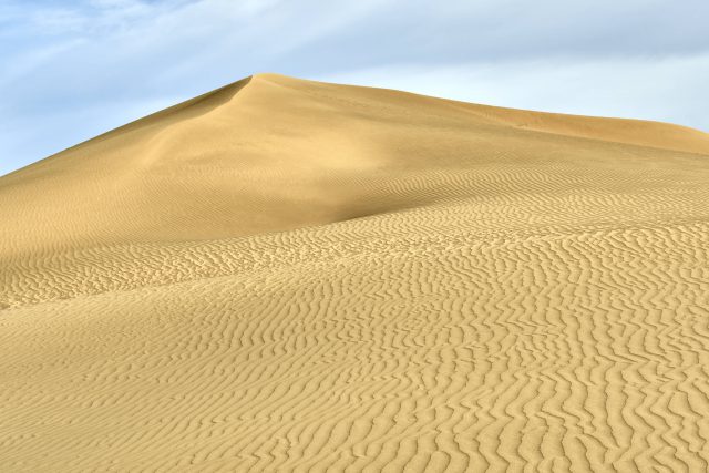 Detalle De Las Dunas Durante El Confinamiento