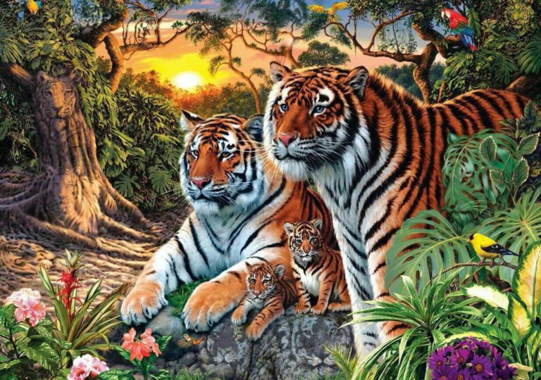 Reto visual: ¿Cuántos tigres hay en esta imagen?