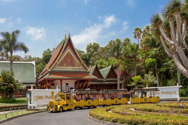 Loro Parque Continúa Haciendo Las Presentaciones De Animales Sin Público 1