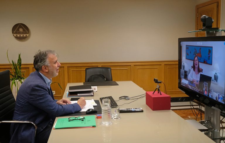 El presidente de Canarias, Ángel Víctor Torres, se reunió hoy por videoconferencia con la presidenta balear, Francina Armengol