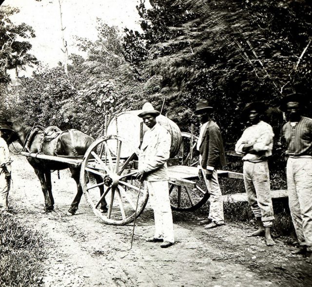 Trabajadores Africanos En Guinea Ecuatorial En 1890