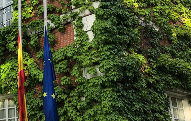 bandera asta