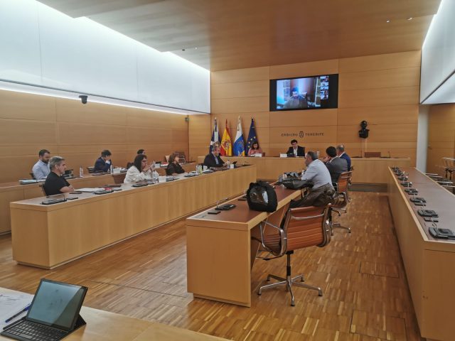 Cabildo Tenerife Reunion Alcaldes 2