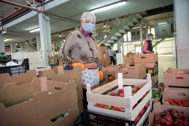 Cabtf Mercatenerife Viseras 13