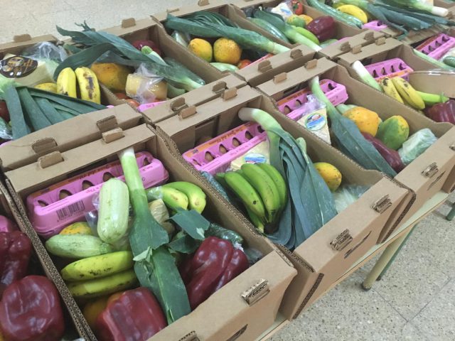 cestas alimentos4