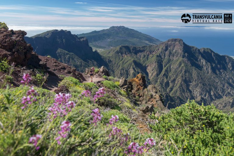 El Cabildo celebra el Día de Canarias divulgando la historia benahoarita a través de la plataforma #NosVolveremosaEncontrar