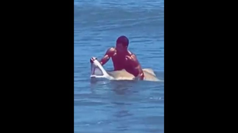Un bañista atrapa un tiburón con sus propias manos en un vídeo que te pondrá los pelos de punta
