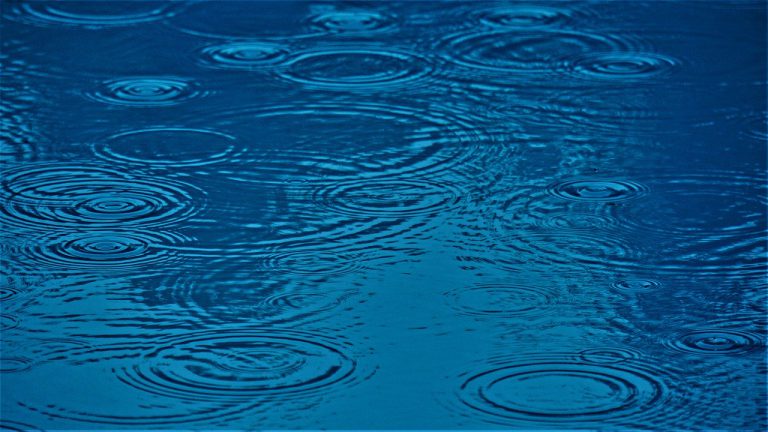 Encuentran a tres familiares muertos en el fondo de una piscina particular