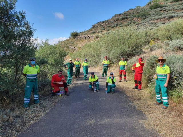 ACTUACIÓN PARQUES Y JARDINES EN LERETA