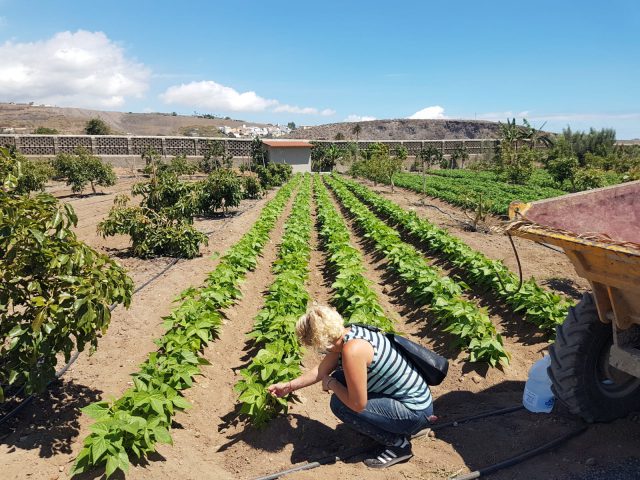 Auri Saavedra Visita La Finca La Suerte