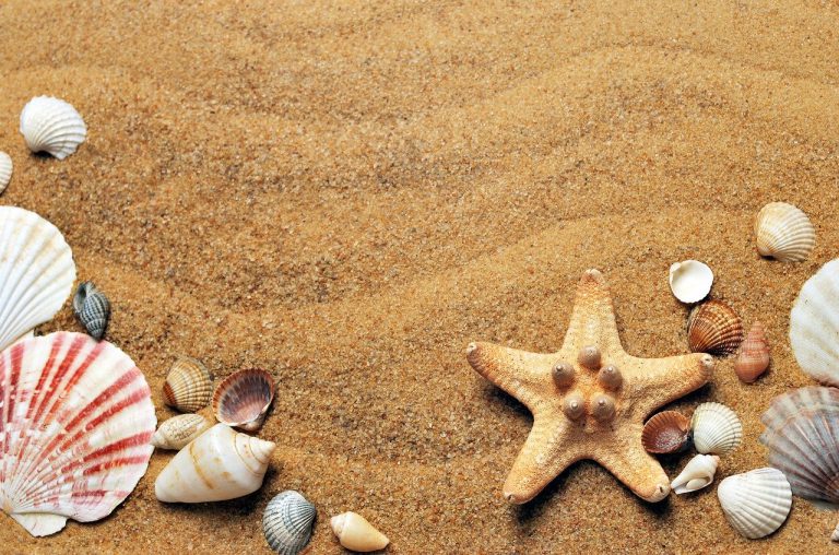 El verano llega mañana a las 23.44 horas, 16 minutos antes del fin del estado de alarma