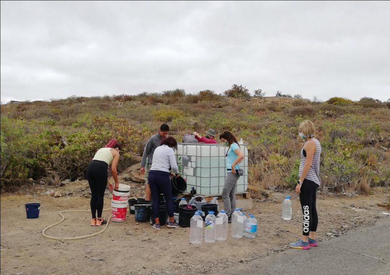 Regados los masde 300 árboles repoblados en el Tiro Pichón del municipio de Arucas