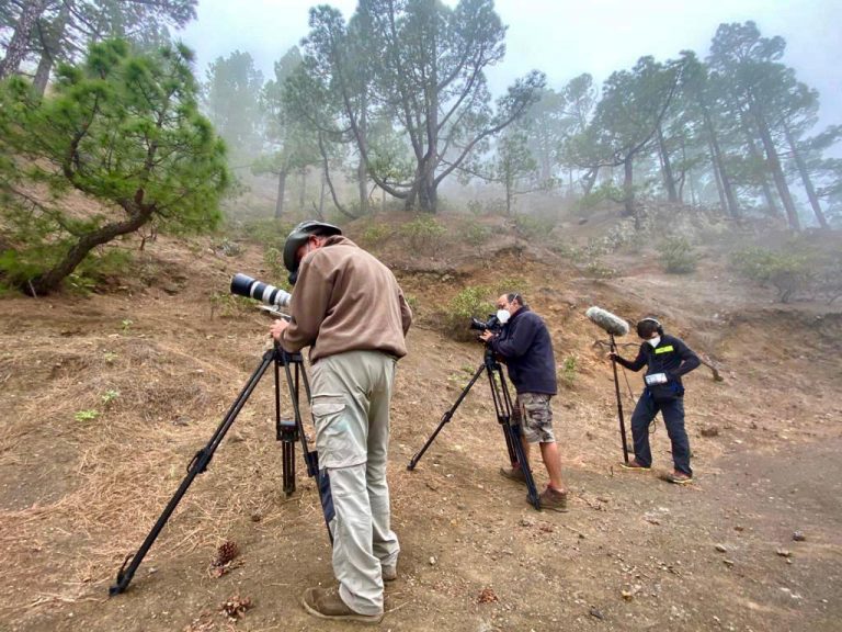 La Palma recupera de la mano de Sodepal los rodajes con un documental y dos campañas de publicidad