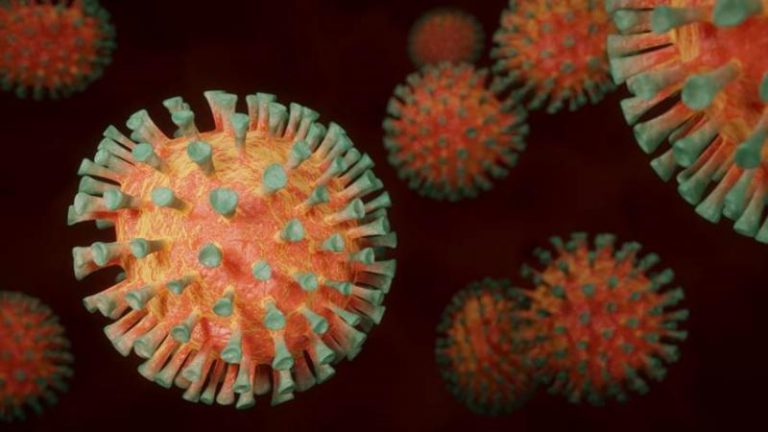 Utilizan un tipo de ‘parásitos del coronavirus’ para combatirlo