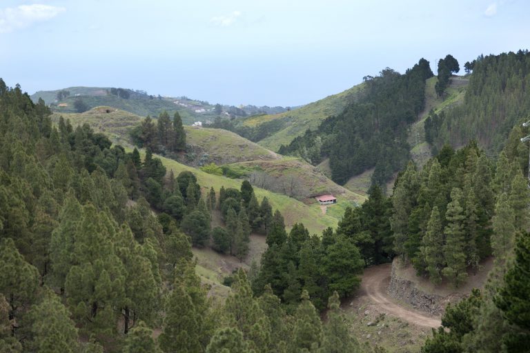 El Ayuntamiento de Santa María de Guía procede al pago anticipado  de las ayudas a los afectados por los incendios forestales del pasado verano 