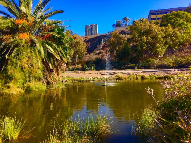 Parque Jaime O´shanaha 3