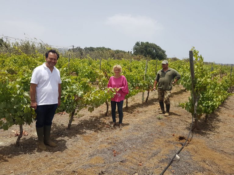 La concejala de Agricultura, Ganadería y Pesca recorre La Higuera Mayor dentro de la ronda de visitas a las fincas del municipio