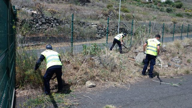 Trabajos De Mantimiento 3