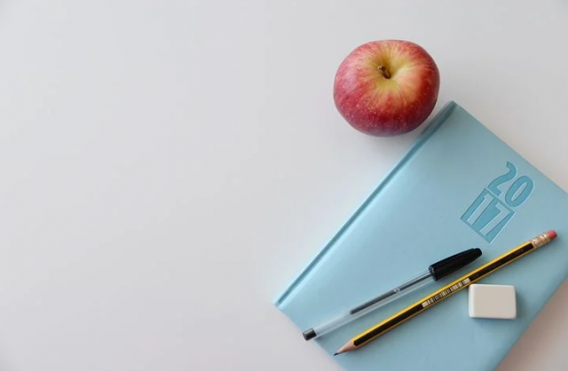 escolar_curso_agenda_manzana