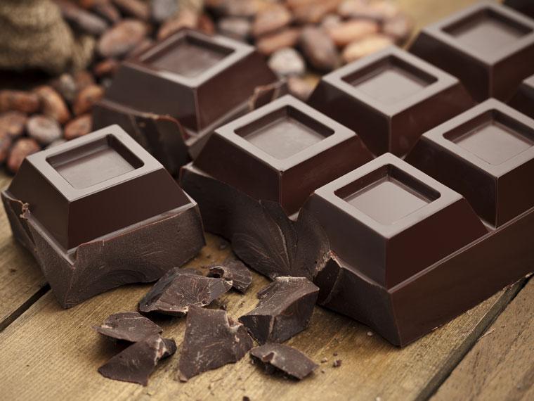 chocolate-mascotas