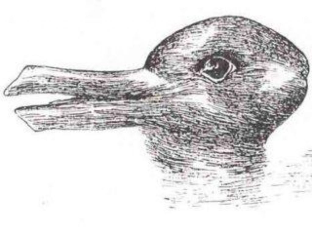 pato o conejo ilusiones ópticas