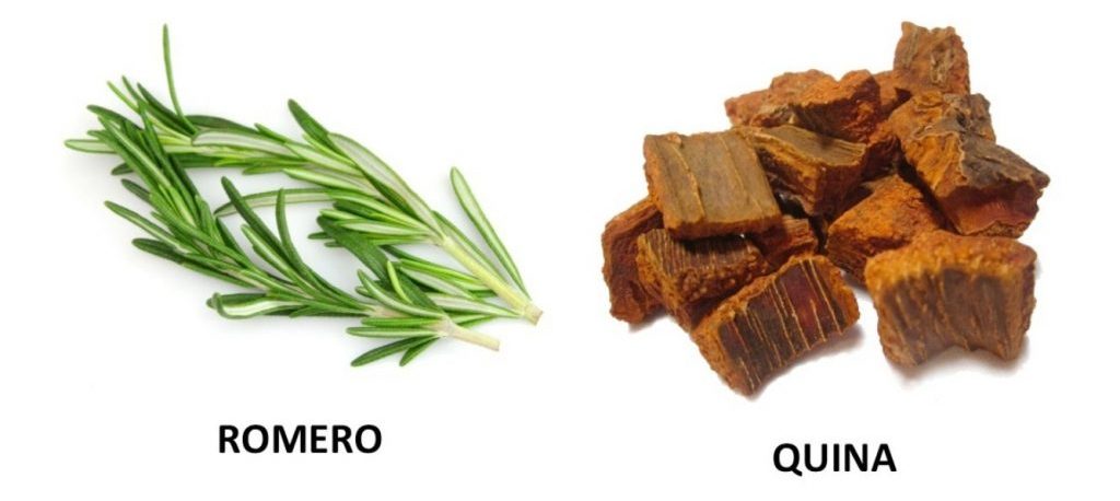 quina y romero