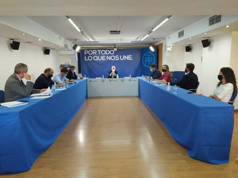 PP de Almería critica que el Gobierno «eche balones fuera» en la gestión de inmigración