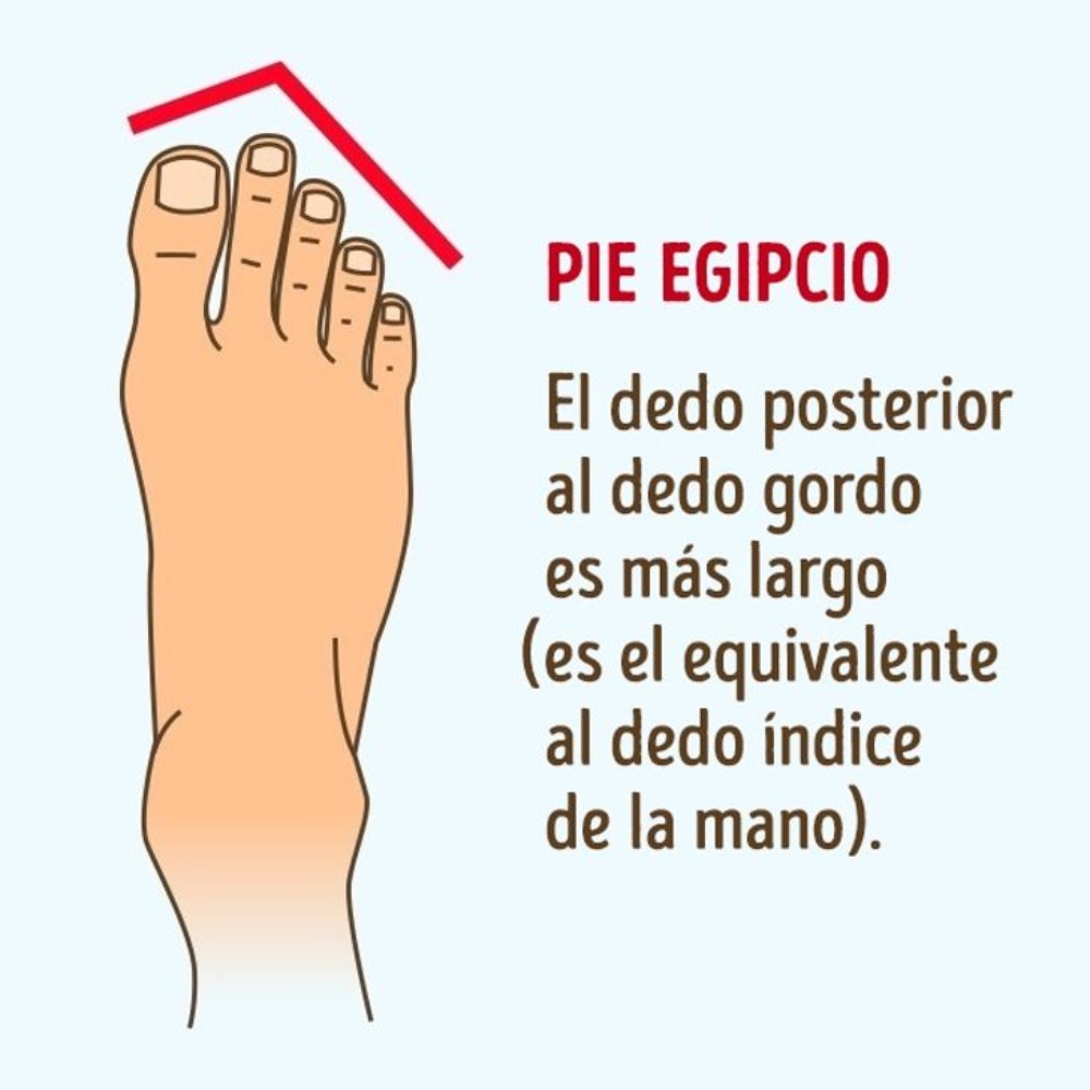 Pie Egipcio: Los Pies