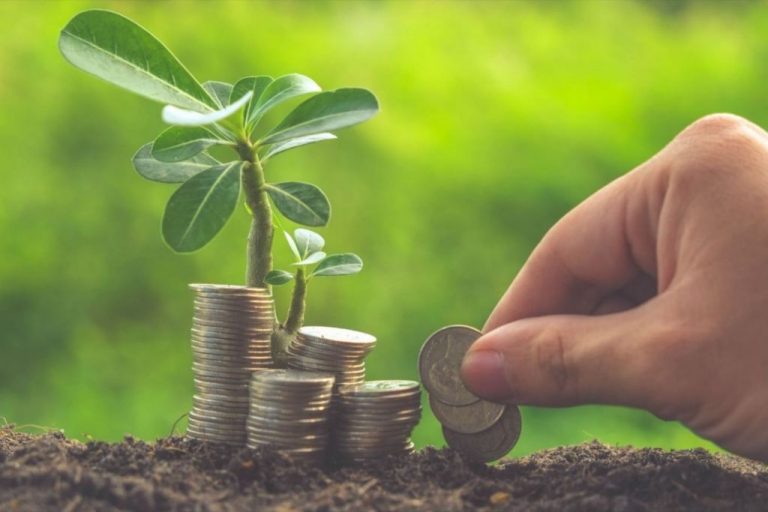 Zamit Capital (GVC Gaesco) invierte en la ‘edutech’ Science Bits