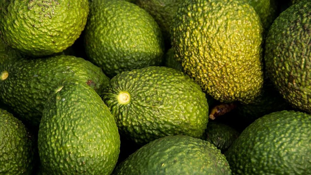 Los Beneficios Del Aguacate.