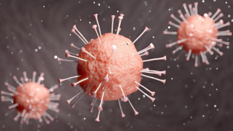 El 75% de las enfermedades infecciosas tienen un origen animal