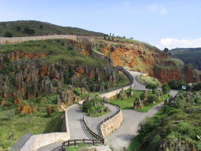 El Parque de la Naturaleza de Cabárceno celebra mañana el Día Mundial del Gorila