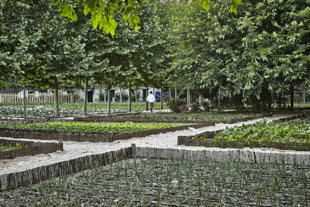 Huerta De Carabaña 