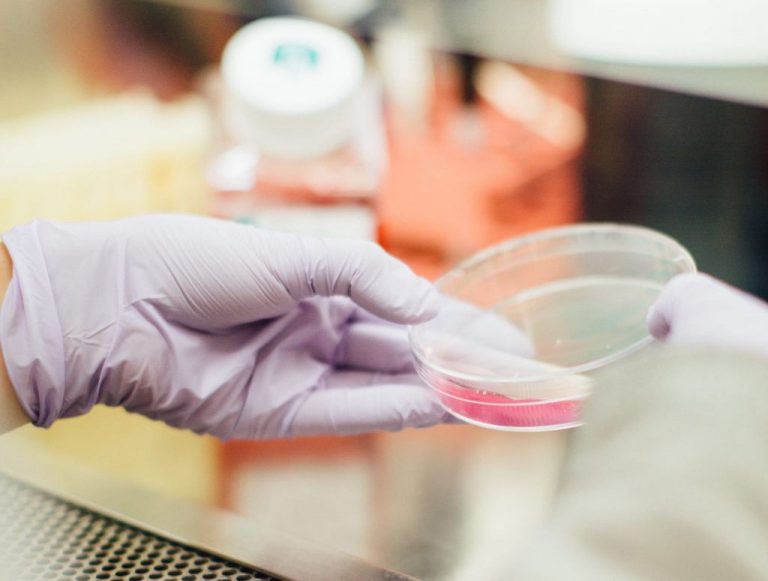 El Gobierno destina 109 millones de euros a 1.101 contratos de jóvenes investigadores predoctorales