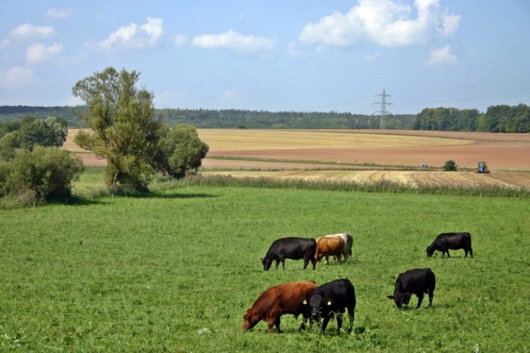 Agricultura aborda con el sector de los frutos secos la situación del mercado