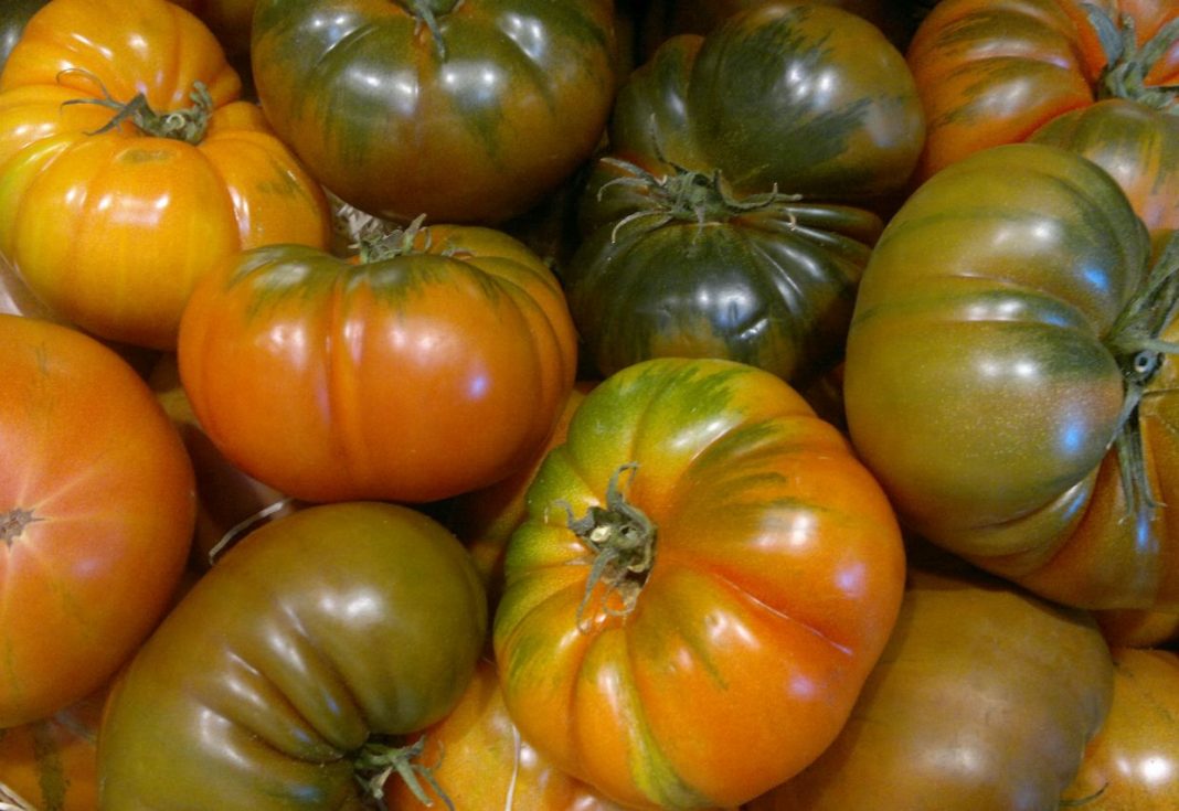 tomates raf