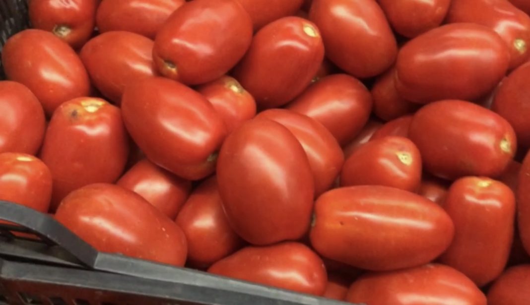 tomates pera