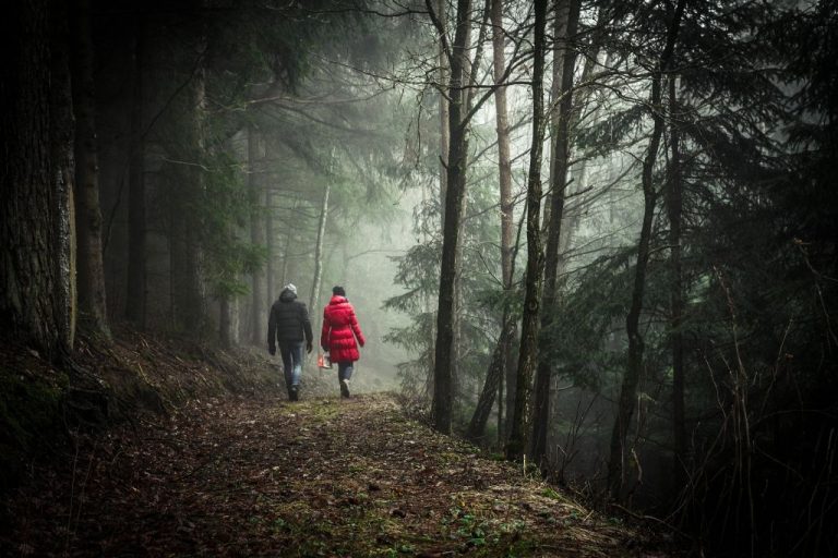 Qué pasa si sales a caminar 15 minutos todos los días