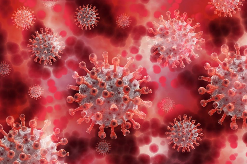 coronavirus-porcentaje