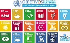 Objetivos de Desarrollo Sostenible registra avances