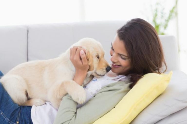 Tu perro te quiere, y así te lo demuestra