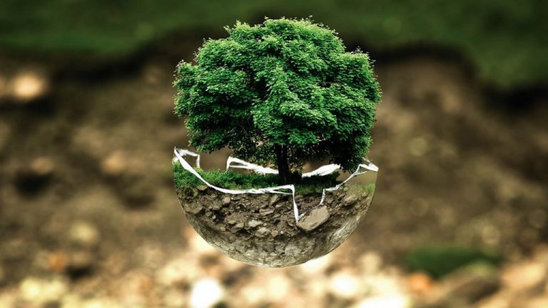 España mejora, pero sigue sin aprobar en buen gobierno ambiental