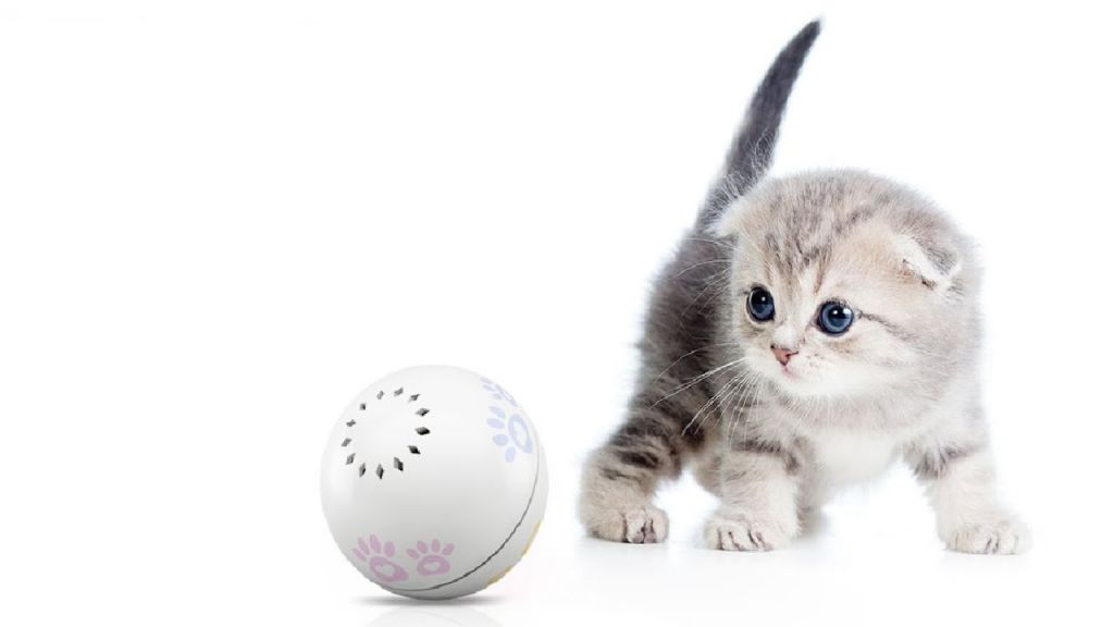 petoneer pet smart companion ball xiaomi