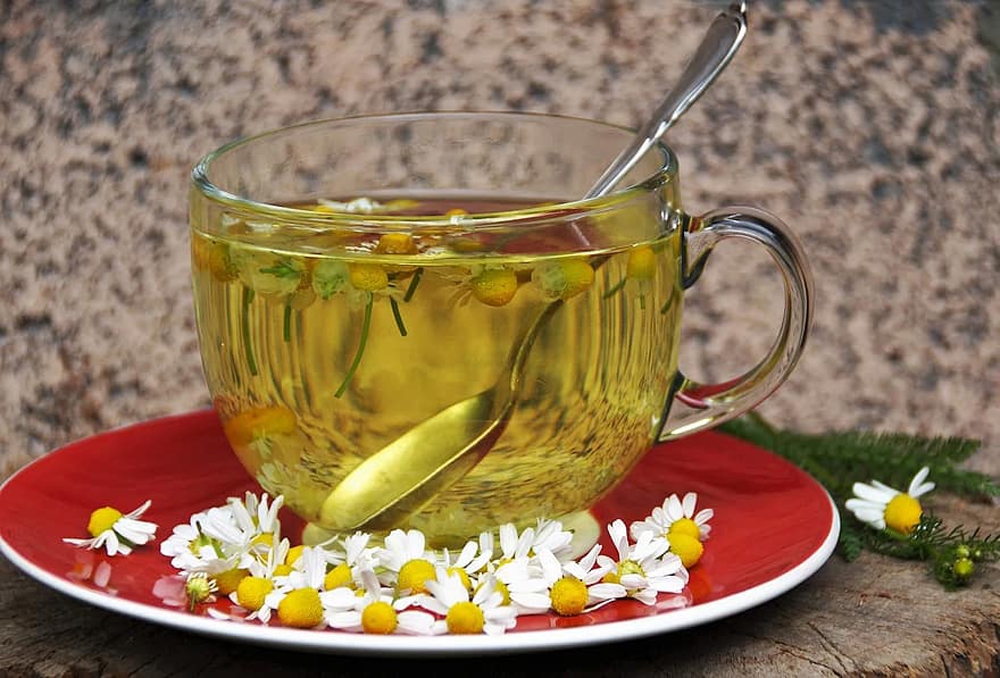 Tea Chamomile Extract Herb Health Medicinal The Infusion Fresh Bio