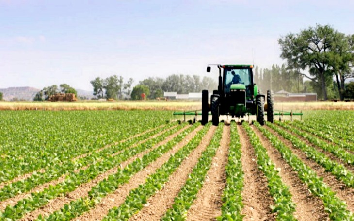 La Eurocámara quiere acelerar el pago para desarrollo rural del fondo de recuperación