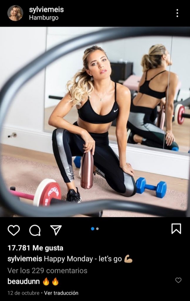 Sylvie Meis