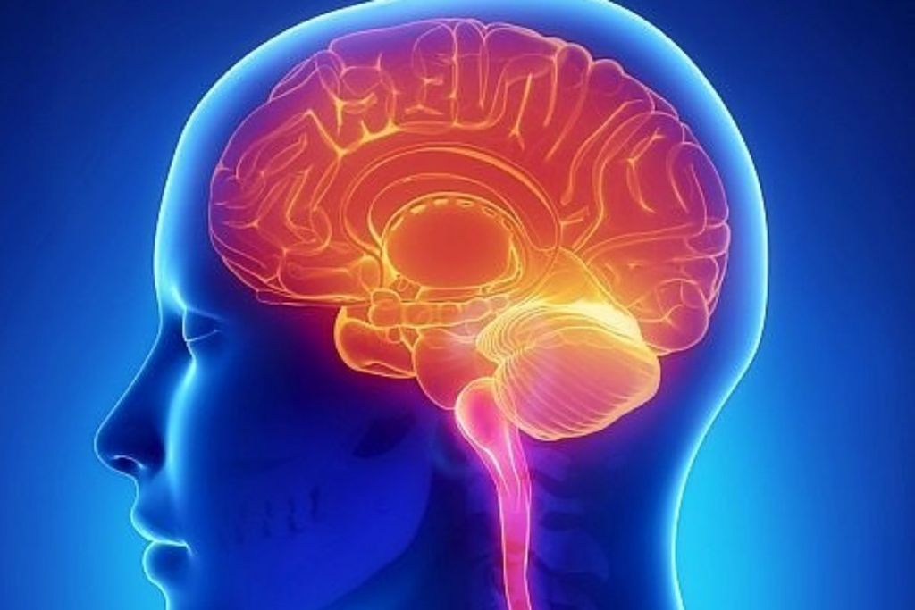 Esto Es Lo Que Le Hace El Covid-19 A Tu Cerebro
